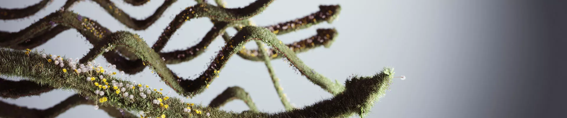Oogst beïnvloeden met behulp van plantsturing