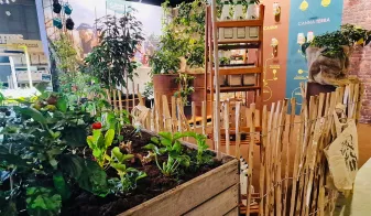 Chilifest Eindhoven: CANNA en Stadstuinieren Magazine vieren de passie voor het kweken