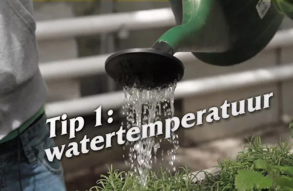 Afl. 1 Watertemperatuur - Tips & Tricks door Kees