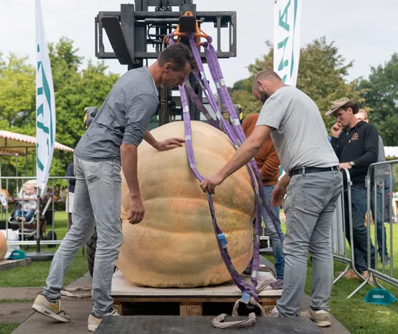 Record aantal deelnemers NK Pompoen kweken 2020!