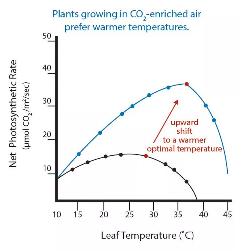 Kweken met LED? Plantenvoeding van CANNA blijft de juiste keuze!