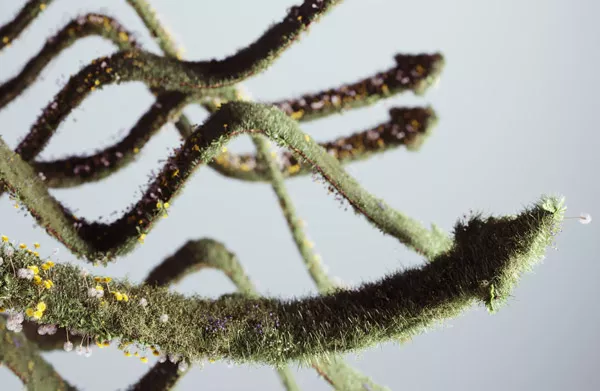 Oogst beïnvloeden met behulp van plantsturing