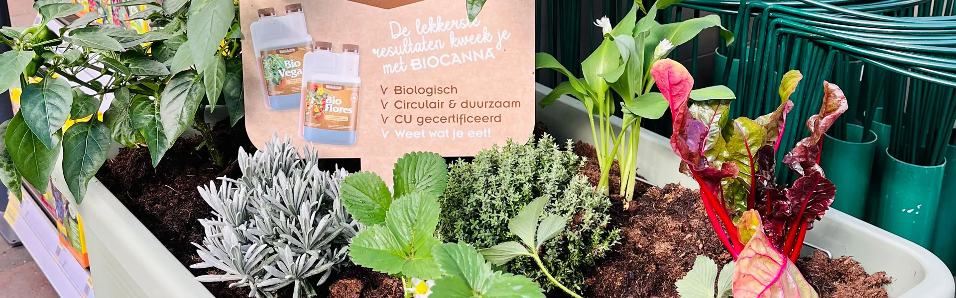 BIOCANNA knalt het kweekseizoen in!