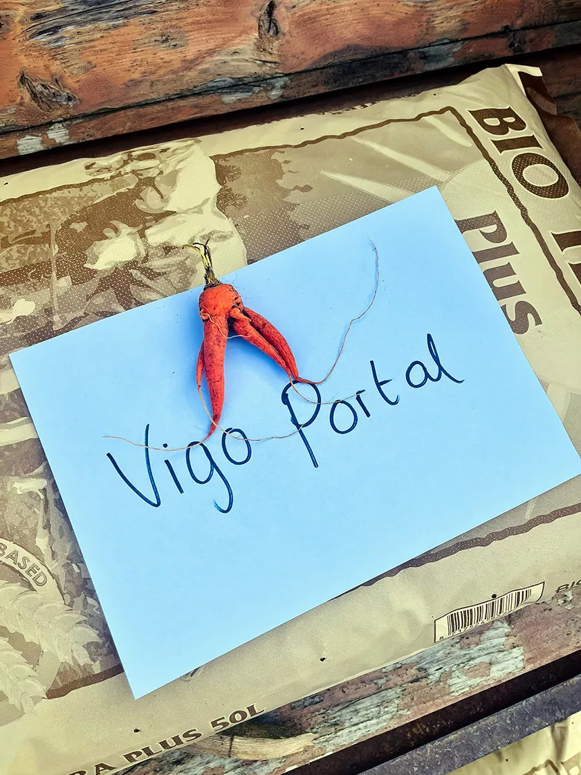 NK Pompoen Kweken 2026: dit zijn de winnaars!