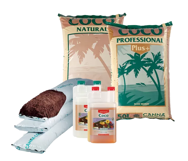 CANNA COCO