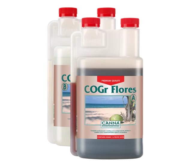 CANNA COGr Flores