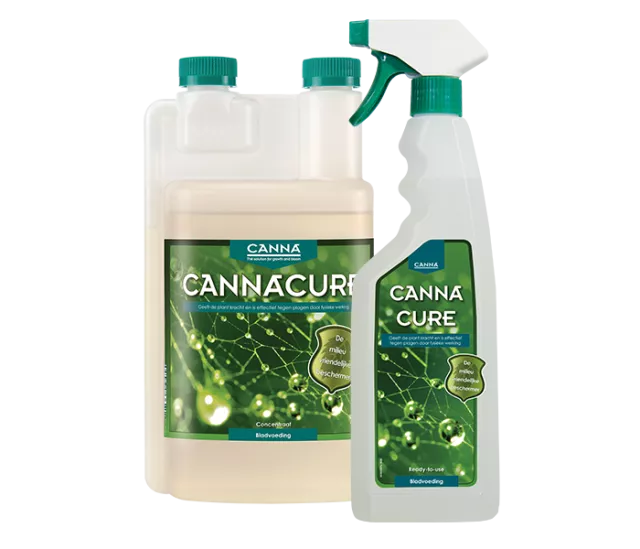 CANNACURE