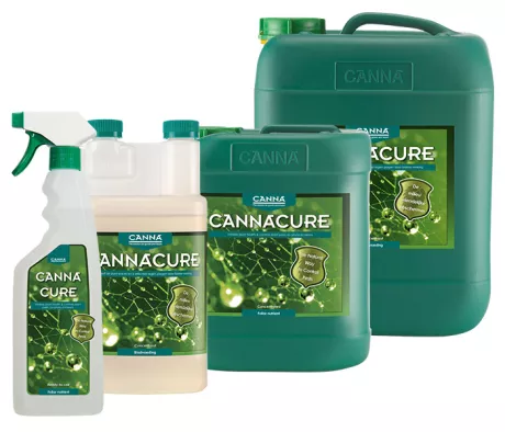 CANNACURE