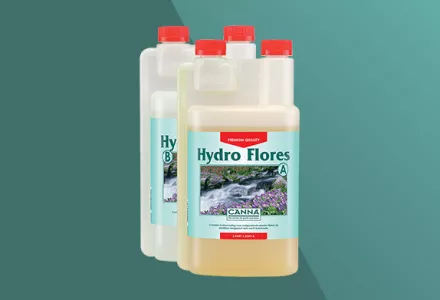 CANNA Hydro Flores