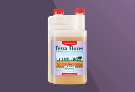 CANNA Terra Flores