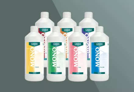 CANNA Mononutrients