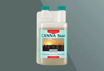 CANNA Start