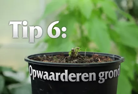 Afl. 6 Opwaarderen Grond - Tips & Tricks door Kees