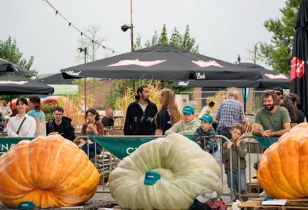 Uitslagen competities NK Pompoen Kweken op DUFF festival 2025