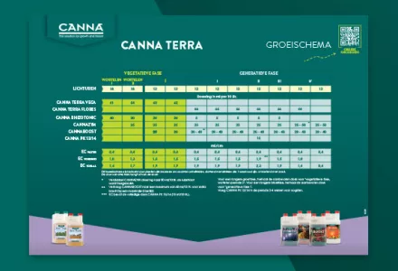 CANNA TERRA Kweekschema