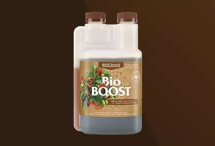 Bio BOOST