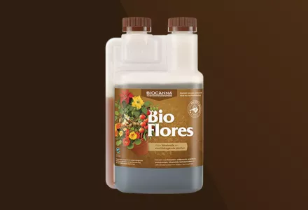 Bio Flores