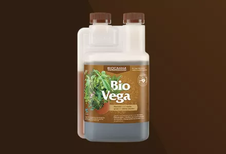 Bio Vega