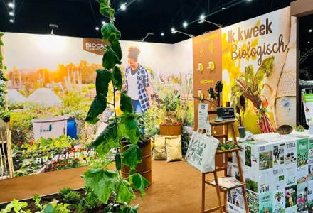 Terugblik DUFF Festival 2026