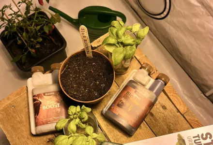 Afl. 1 Indoor kweken met BIOCANNA - Zaaien in een kweektent