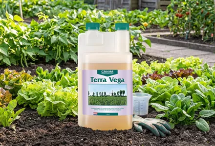 CANNA Terra Vega: de motor achter een gezonde groei