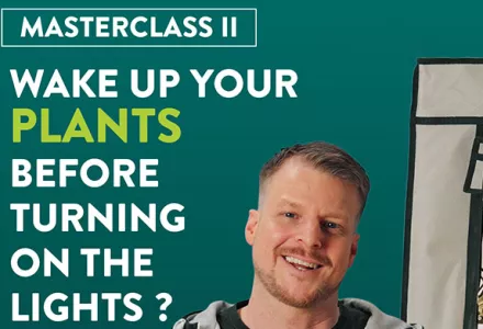 Moeten we onze planten wakker maken voordat we verlichting inschakelen?