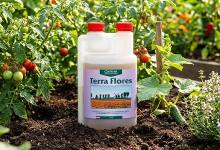 CANNA Terra Flores: voor een rijke bloei en smaakvolle oogst