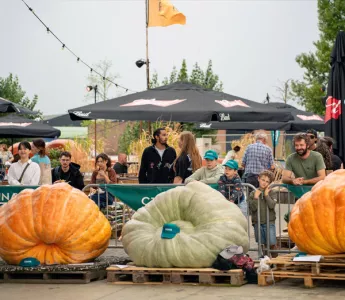 Uitslagen competities NK Pompoen Kweken op DUFF festival 2025