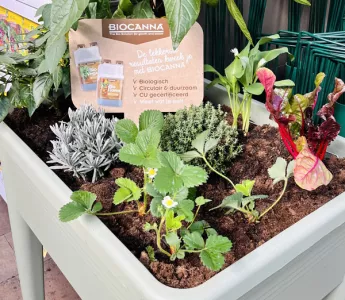 BIOCANNA knalt het kweekseizoen in!