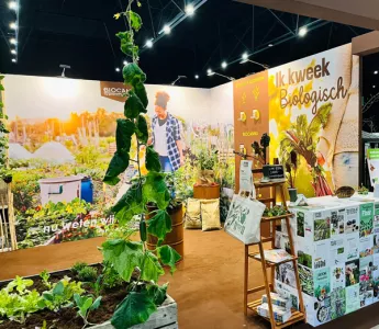 Terugblik DUFF Festival 2026