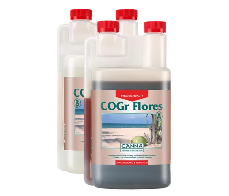CANNA COGr Flores