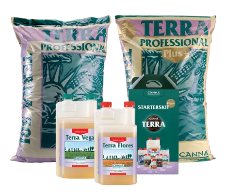 CANNA TERRA
