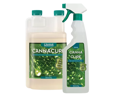 CANNACURE
